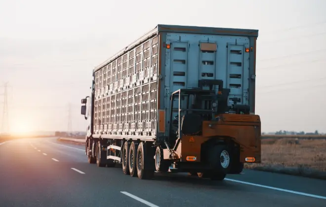 未経験でも安心